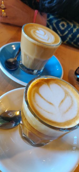 Cortado with oat milk at Karma Cream in Gainesville