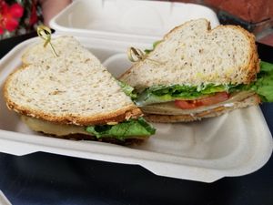 Vegan Club at Karma Cream in Gainesville