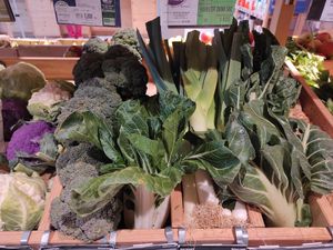 Good looking cabbages at Biocoop in Auray