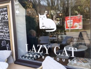  at Lazy Cat Coffeehouse in Pfarrkirchen