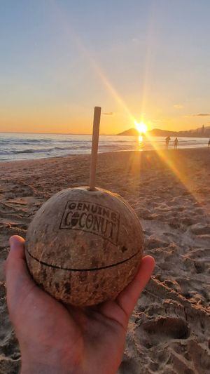 at The Curry House in Benidorm