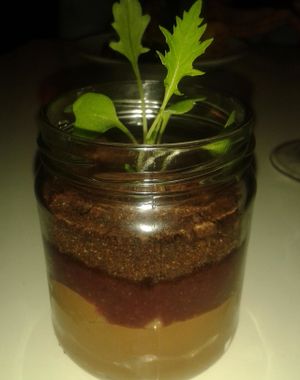 Chocolate mousse at 1847 in Manchester