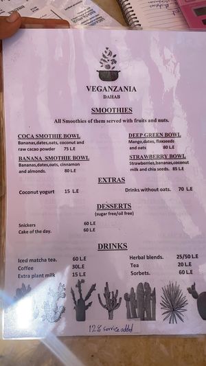 Soft opening menu at Veganzania in Dahab