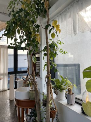 Decor  at Coffee Doga Heritage - Ehwa branch 커피도가 헤리티지 이화점 in Seoul