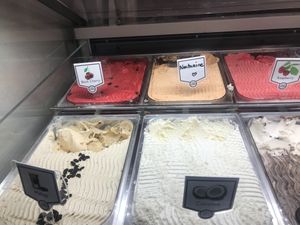 Delicious vegan flavors--black cherry, nectarine, raspberry, coconut,  and malaga. at Cattarissimo in Kotor