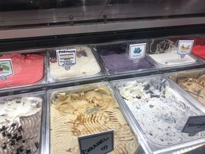 Another angle of some excellent vegan options (back row). at Cattarissimo in Kotor