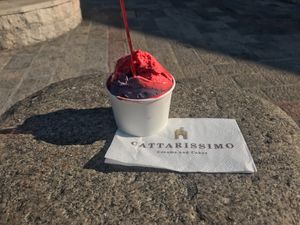 A cup with four flavors of vegan ice cream--strawberry, Premium, Blueberry and black cherry. at Cattarissimo in Kotor