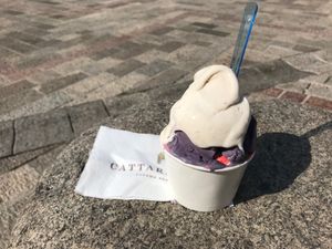 Malaga, blueberry and raspberry mixed combo at Cattarissimo in Kotor