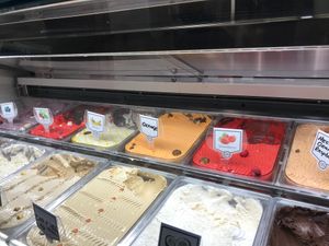 Vegan flavors at Cattarissimo in Kotor