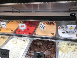 Orange, strawberry, nectarine, orange and raspberry, lemon and coconut vegan gelato at Cattarissimo in Kotor