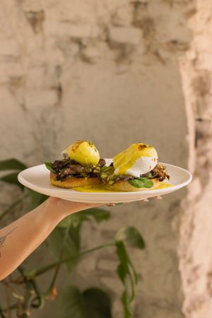  at Little Fern in Barcelona