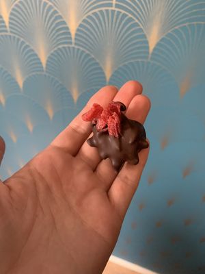 Candied hibiscus flower dipped in chocolate  at De Chocolage in Bladel