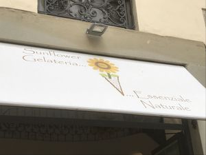 Sunflower Gelateria  at Gelateria Sunflower in Arezzo