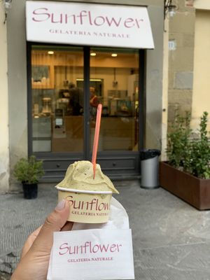   at Gelateria Sunflower in Arezzo