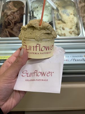   at Gelateria Sunflower in Arezzo