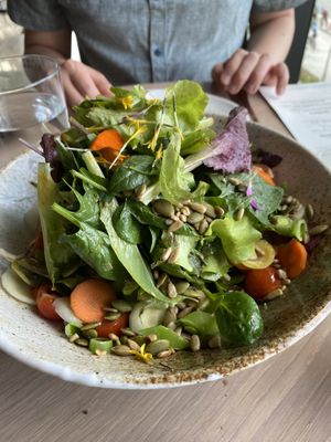 Garden salad, made vegan  at Owamni by The Sioux Chef in Minneapolis