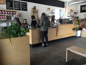 Counter at Ugly Duck in Rochester