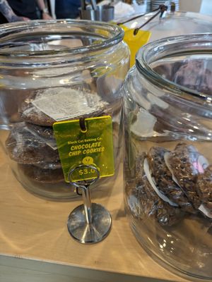 Treat selection (pop tart and scones hiding behind cookie jar) at Ugly Duck in Rochester