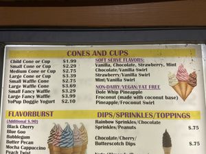 the non-dairy/vegan/fat free section at Twistee Treat in Ocoee