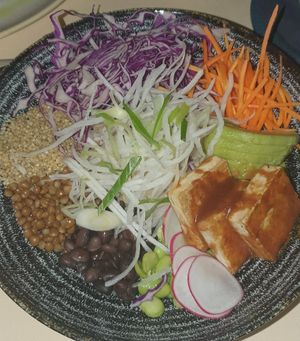 Vegetarian Bowl:
Tofu, fava bean, beans, lentil, quinoa, bulgur, avocado, young onion, carrot, 
red cabbage, radish, daikon radish with tahini sauce at Panorama in Dubrovnik