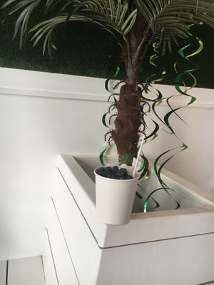 "Astor" oatmeal at Happy Bowls in New York City