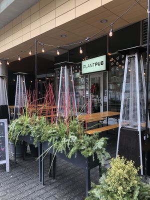 super cute  at PlantPub in Cambridge