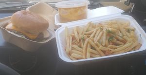  at PlantPub in Cambridge