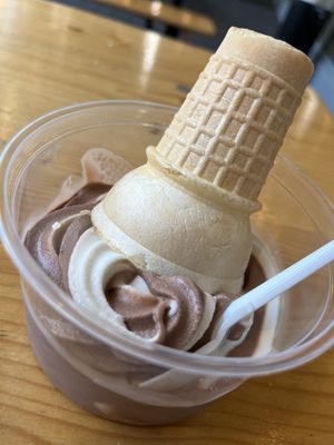 Vanilla and chocolate swirl ice cream   at PlantPub in Cambridge