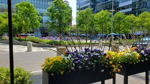  at PlantPub in Cambridge