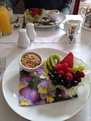 Vegan greek yoghurt, fruit and granola 🌱 at Kingscroft Guest House in Buxton