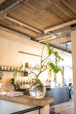 plants in the water  at Market by Jeremy in Luxembourg City