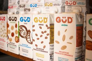 Alternativas a los lácteos at Raíces in Cuautitlan Izcalli