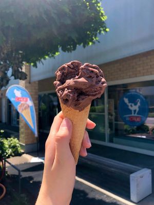 Delicious Chocolate Ice Cream  at iis-chue in Cham