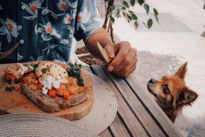 Ovukadu  at Tiki - Healthy Food Cave in Ericeira