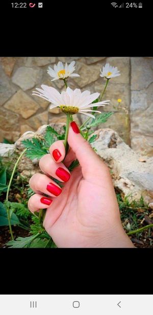 Bionail Nagellacke at Stefanie Lais Kosmetik in Thuringen