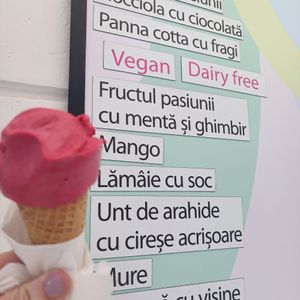  at ViceCream in Bucharest