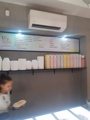Vegan flavours at ViceCream in Bucharest