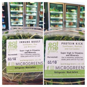 Microgreens at Olive Well in Romford