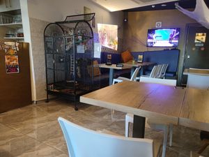 Inside #2 at Suzie Q in Gzira