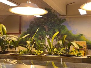 Wall art at Vegie Tribe in Melbourne