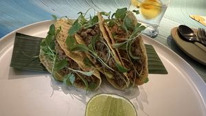 Jackfruit Rendang tacos  at Analogue Initiative in Central Singapore