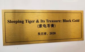 The black gold = Gui Ling Gao at Gong He Guan - Chinatown in Central Singapore