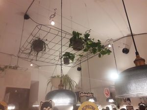 Interior ceiling at Akita Ramen in Krakow