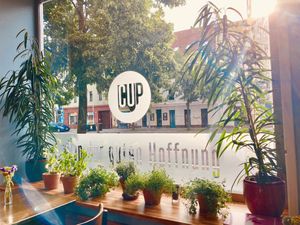 Innenansicht at Cup der guten Hoffnung in Halle