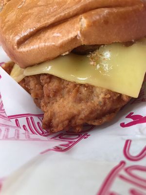 Burger at Döner Summer in Sheffield