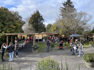   at The Shed Collective in Auckland