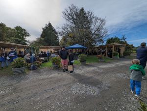 Outside at The Shed Collective in Auckland