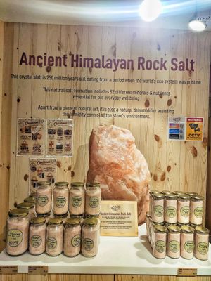Rock salt at Scoop Wholefoods - Raffles City in Central Singapore