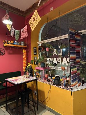   at La Papaya in Poznan