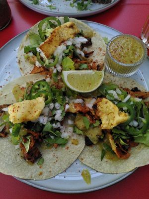  at La Papaya in Poznan